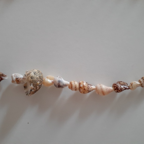Shell Necklace - Picture 6 of 8